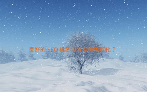 良好的 SEO 排名但没有销售转化？