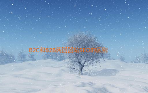 B2C和B2B网​​站SEO的区别