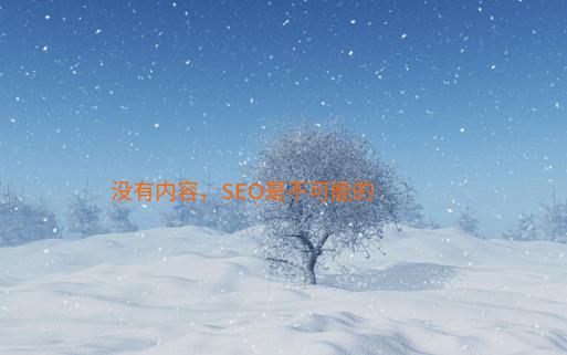 没有内容，SEO是不可能的