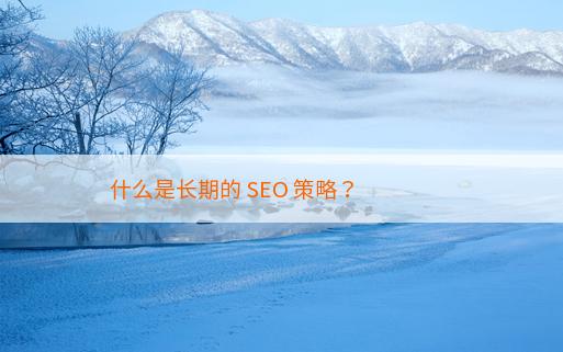 什么是长期的 SEO 策略？