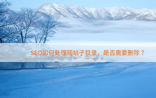 SEO如何处理网站子目录，是否需要删除？