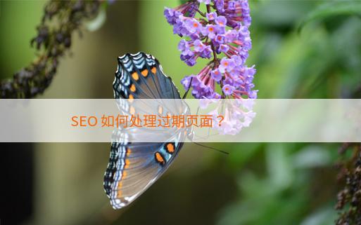 SEO 如何处理过期页面？