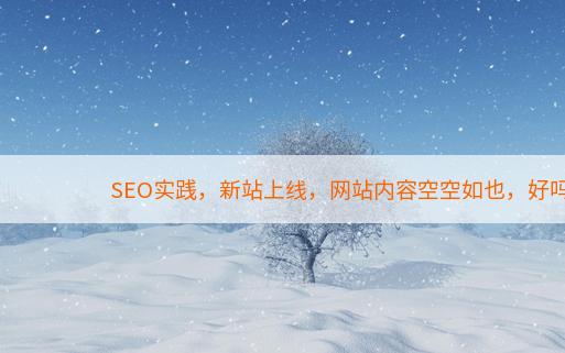 SEO实践，新站上线，网站内容空空如也，好吗？