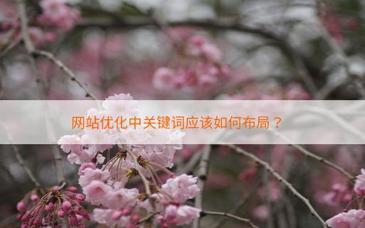 网站优化中关键词应该如何布局？