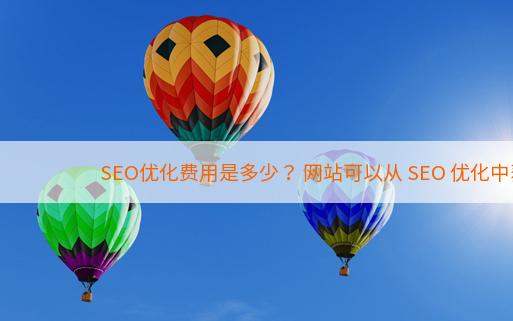 SEO优化费用是多少？ 网站可以从 SEO 优化中获得什么？